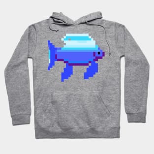 Aquamarine Fish Hoodie